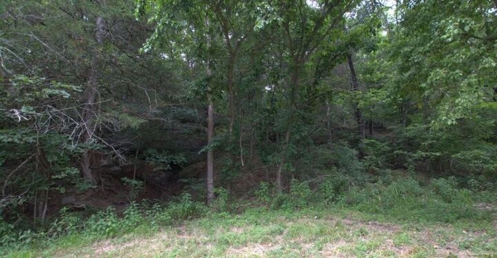 Property Photo: 10.75acres Younkers Lane MO 64854