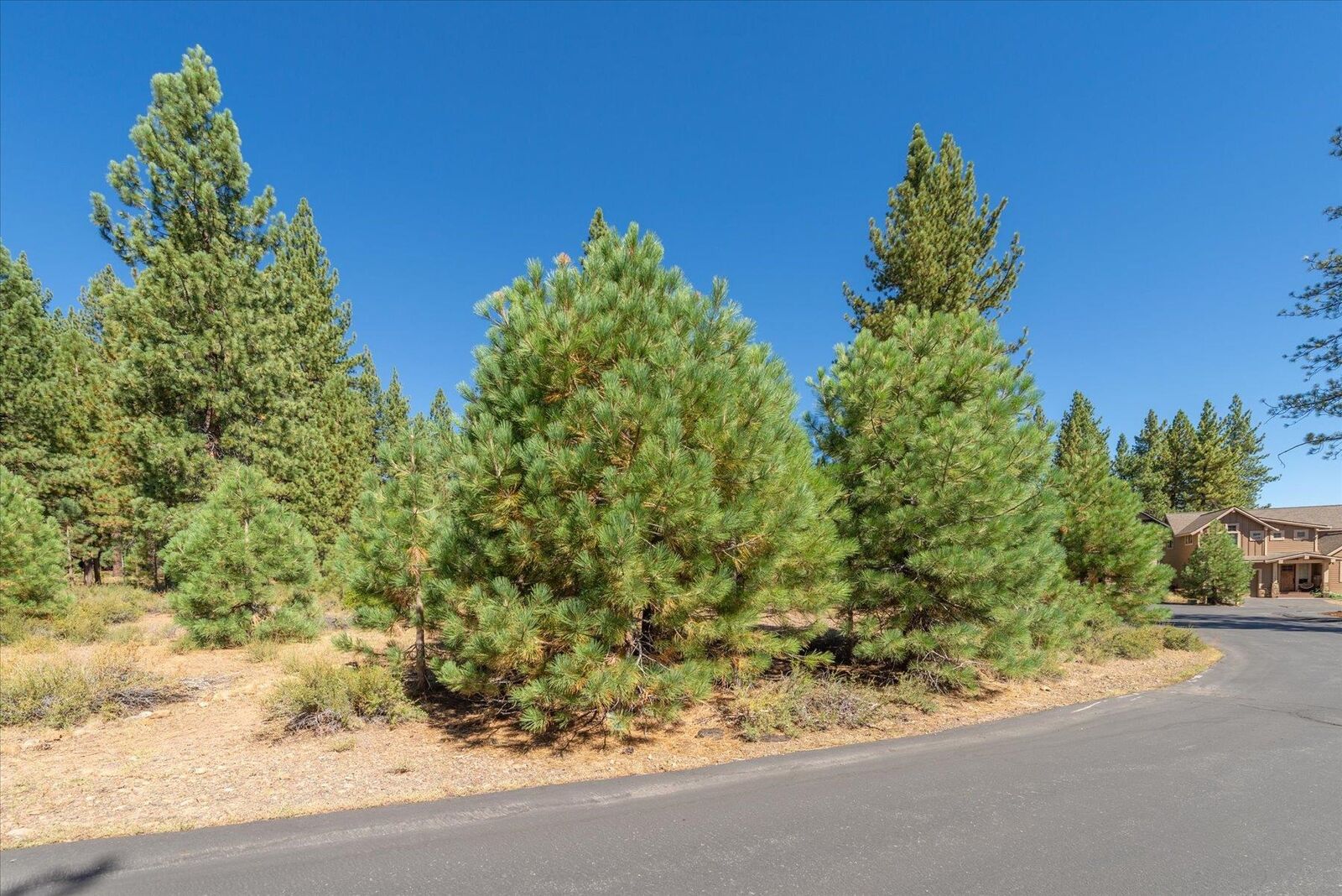 Property Photo:  11264 Wolverine Circle  CA 96161 