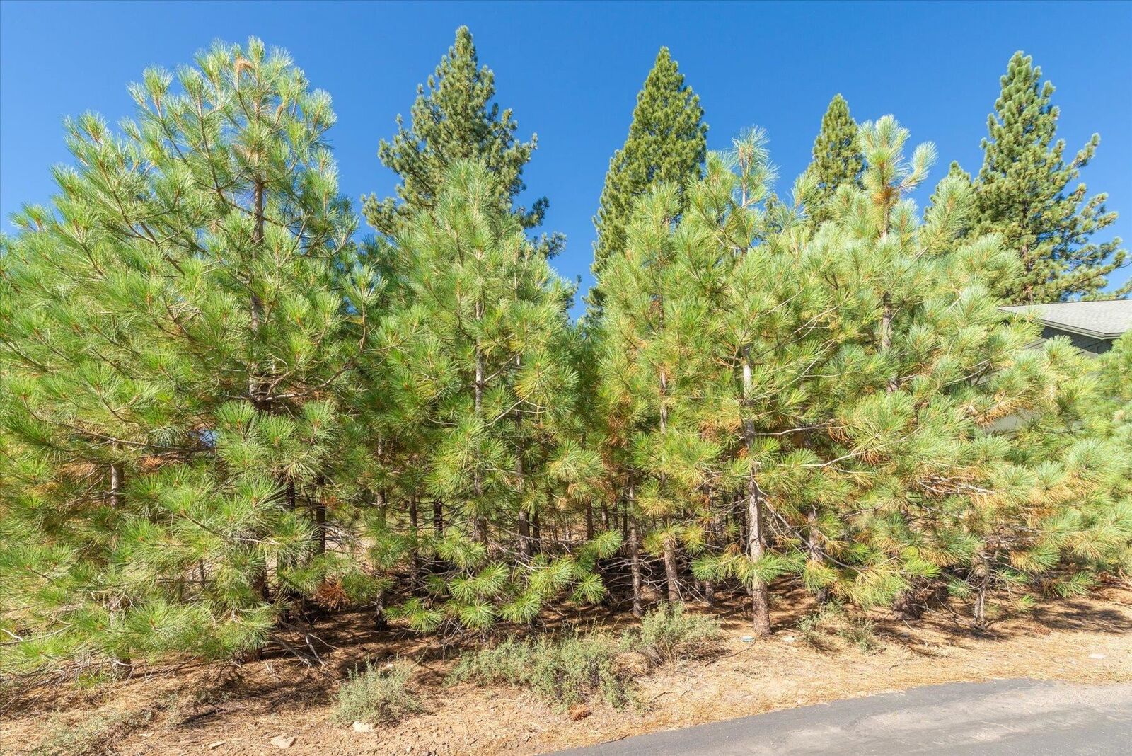 Property Photo:  11304 Wolverine Circle  CA 96161 