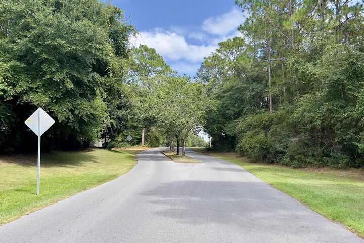 Property Photo:  49 Acres Summer Creek Cv & John King Rd  FL 32539 