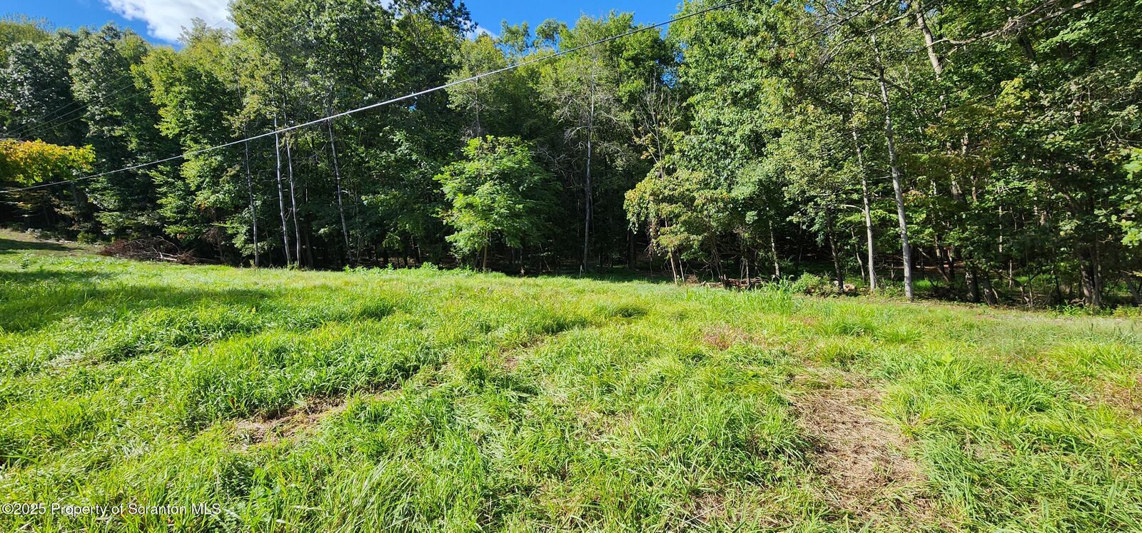 Property Photo:  629 Evergreen Drive  PA 18615 