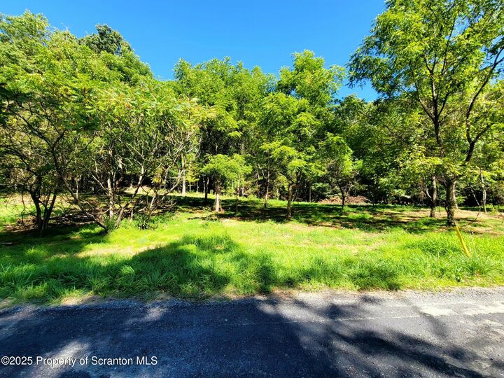 607 Evergreen Drive  Falls PA 18615 photo