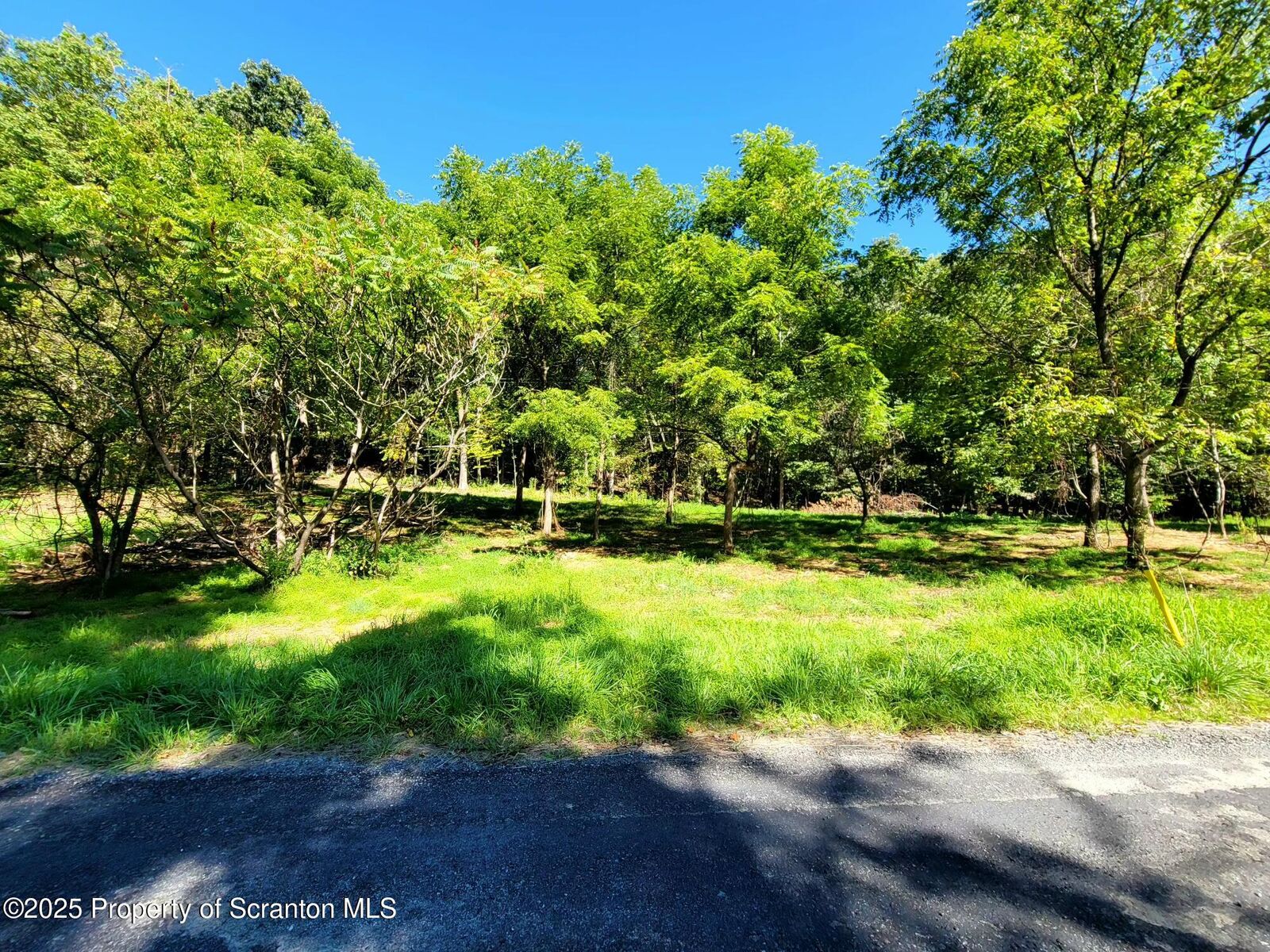 Property Photo: 607 Evergreen Drive PA 18615