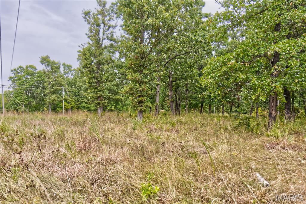 Property Photo: 26049 Ivy Bend Rd MO 65078