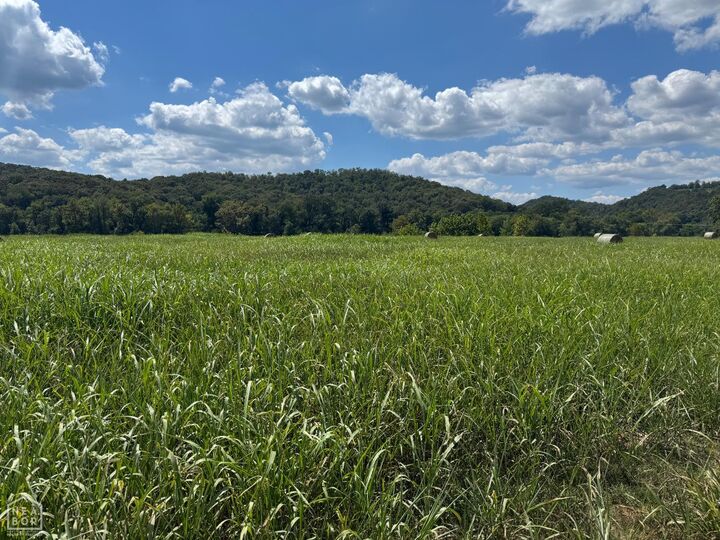 Property Photo: 50 White River Run AR 72540