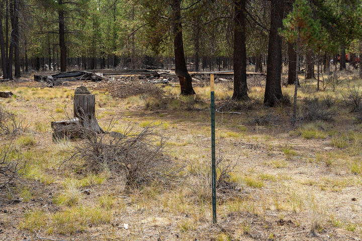Property Photo: Tl 699 Alderwood OR 97739