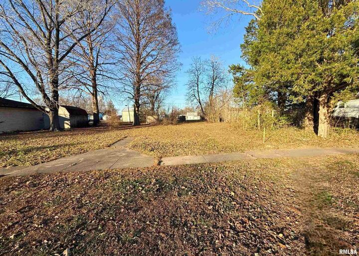 Property Photo: 123 E Pulley Street IL 62949