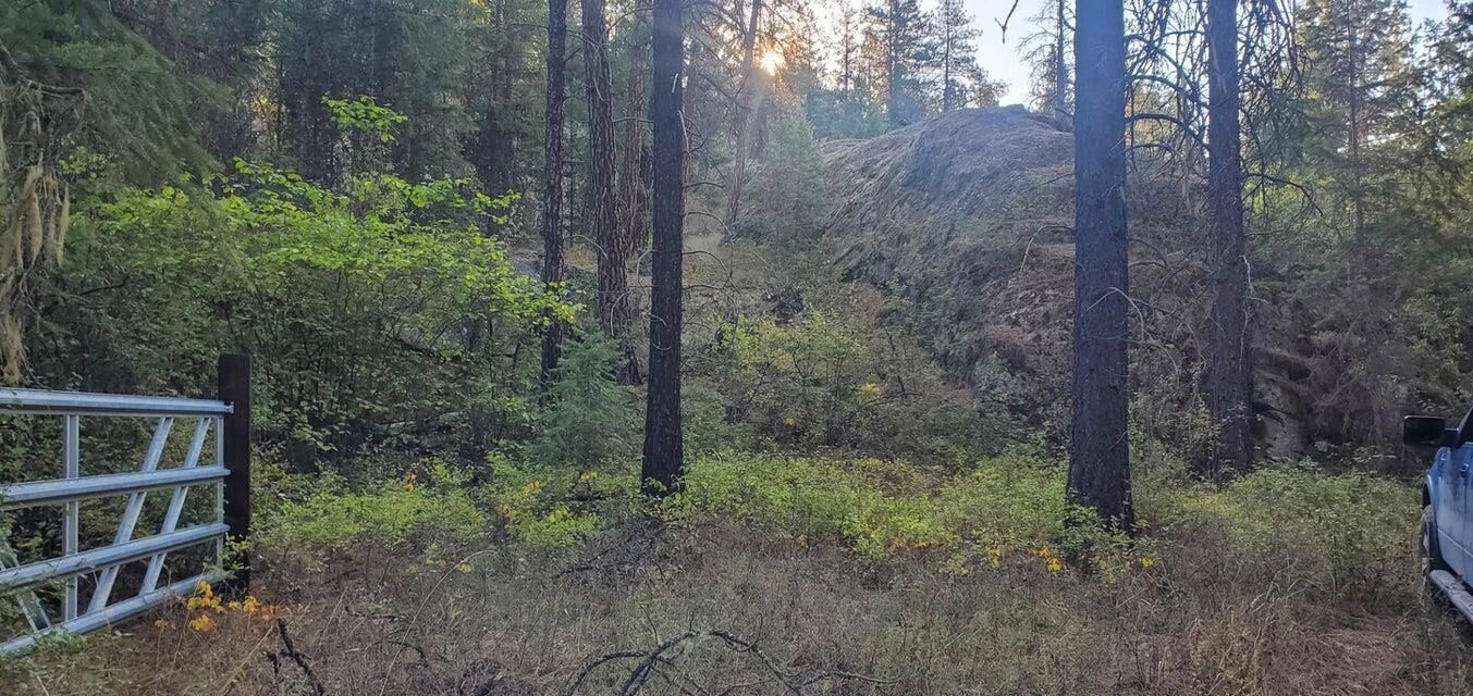 Property Photo:  3733xx Sand Cree Rd  WA 99141 
