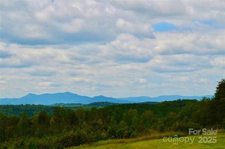 450 Big Gum Court  Rutherfordton NC 28139 photo