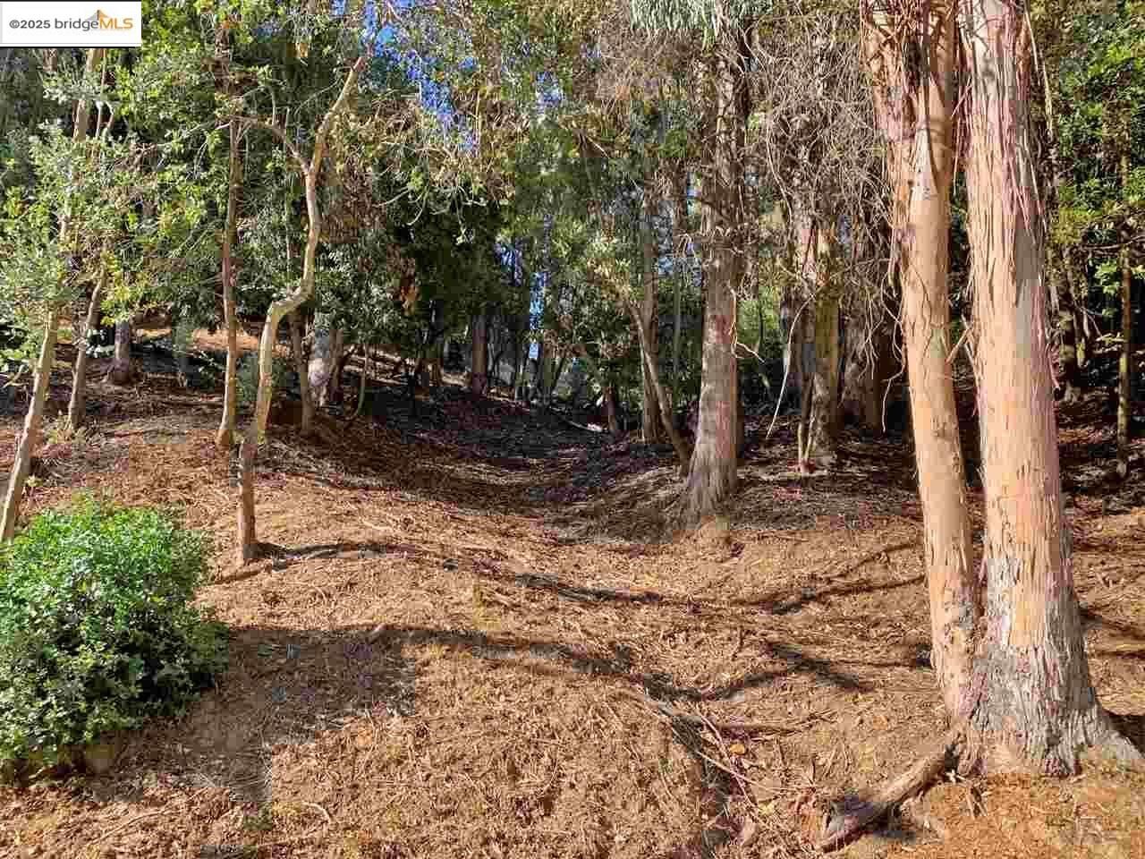 Property Photo:  6698 Moore Dr  CA 94611 