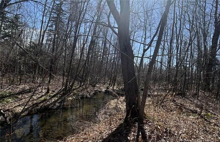Property Photo:  Lot Dr Hamilton Drive  NB E9C 1A9 