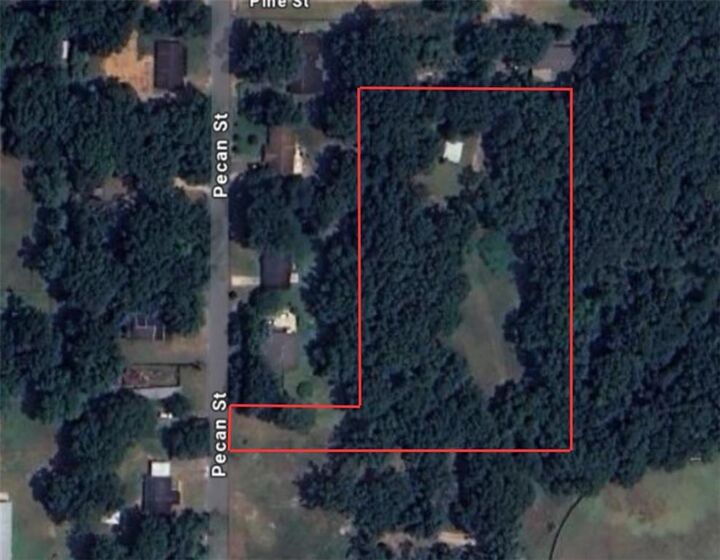 Property Photo: 10051 Pecan Street AL 36541