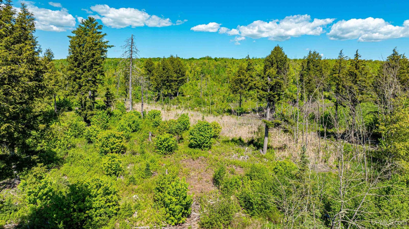 Property Photo:  Tbd 1 Pelkie Road  MI 49958 