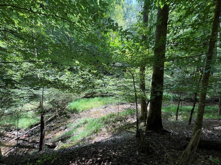 Lot 223 Bowline Drive  Ellijay GA 30540 photo
