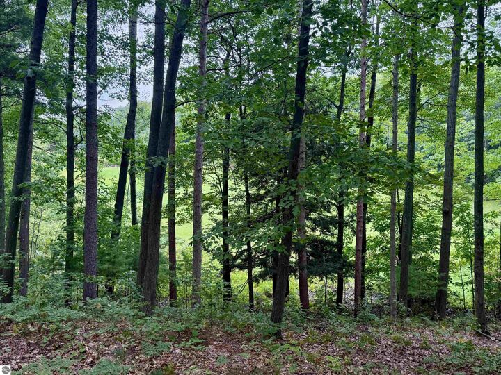 Property Photo:  35 Brook Hill Cottages  MI 49636