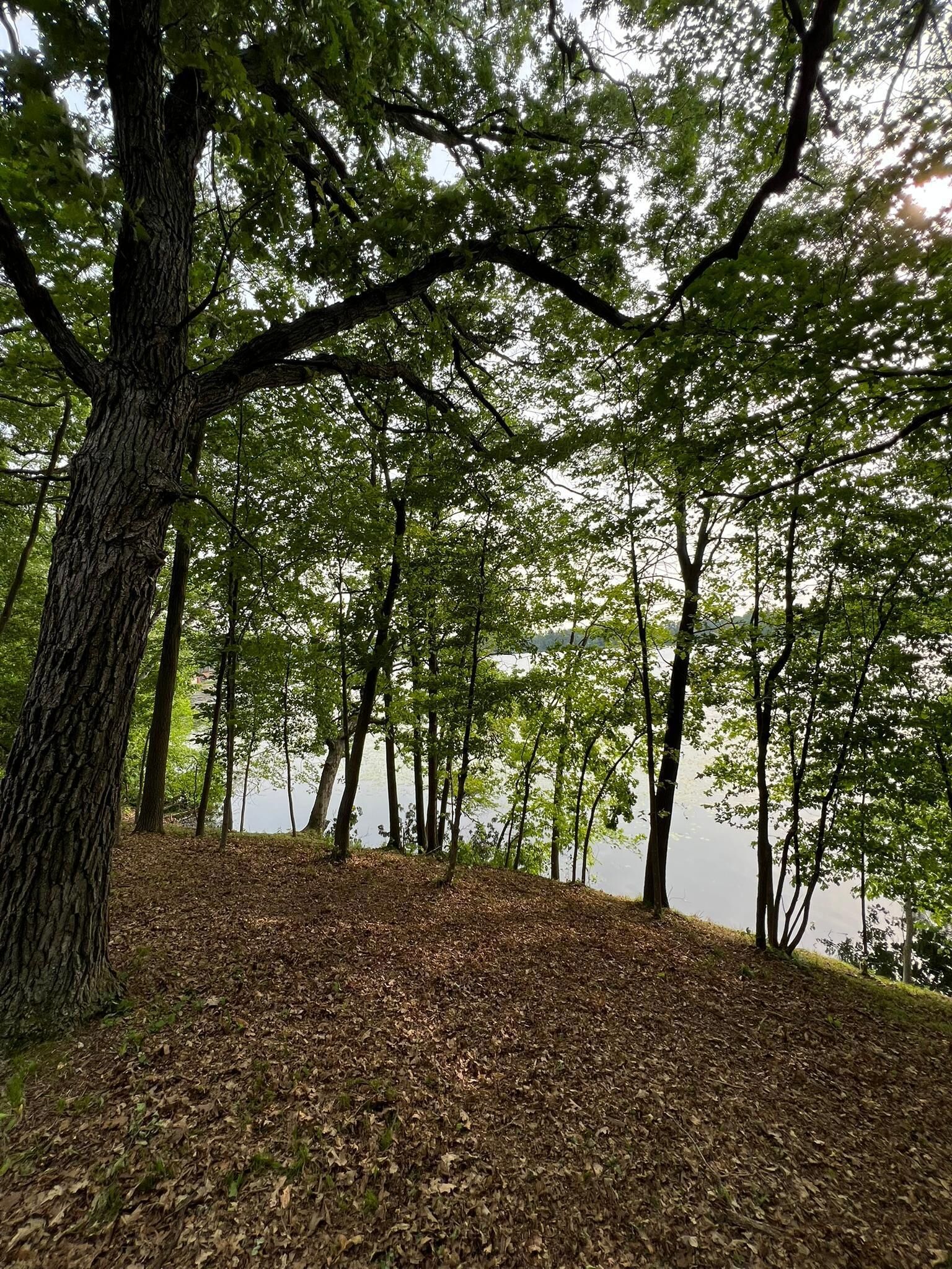 Property Photo:  Xxx Acorn Road  MN 56318 