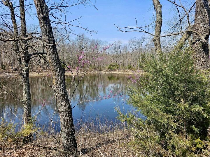 Property Photo:  000 County Road 2115  MO 65712 