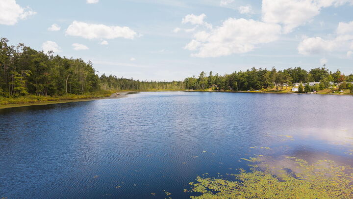 7982 Blueberry Lane  Johannesburg MI 49751 photo