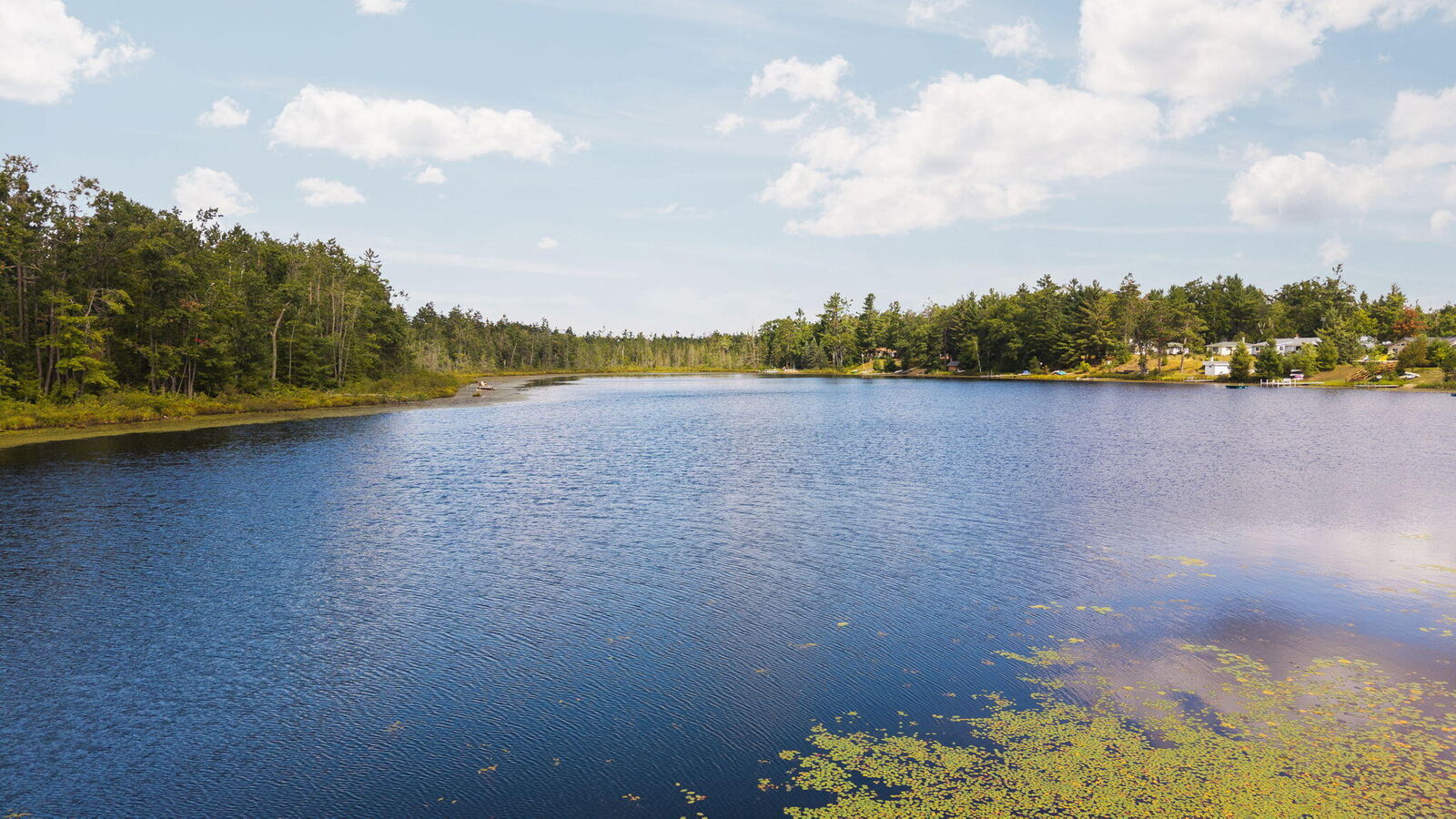 Property Photo: 7982 Blueberry Lane MI 49751