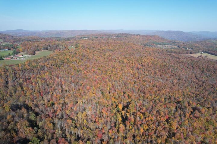 Property Photo: 124 Woodchuck Run WV 25918