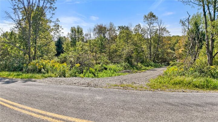 Property Photo:  541 Blackman Hill Road  NY 13736 
