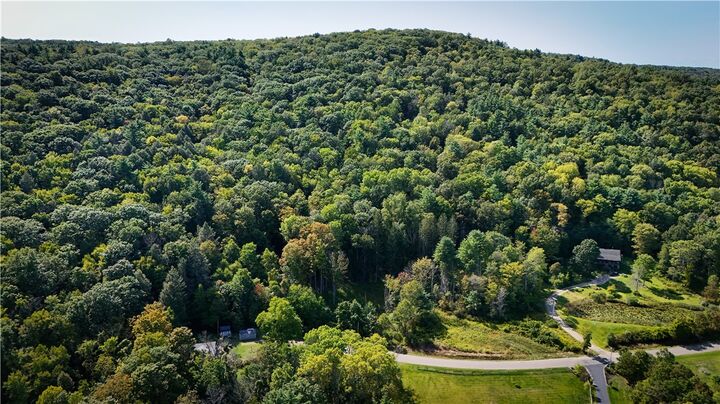 Property Photo:  0 Worden Road  NY 14892 