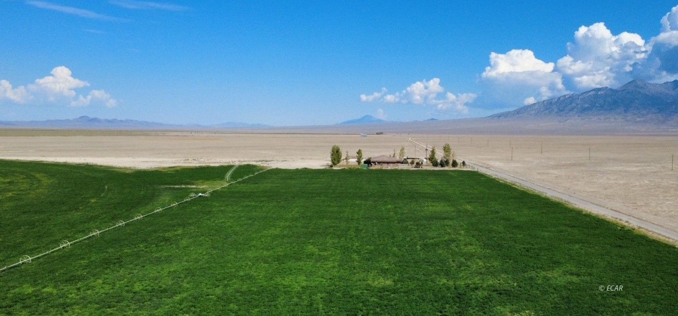 Property Photo: 1199 Fire Station Road S NV 89301