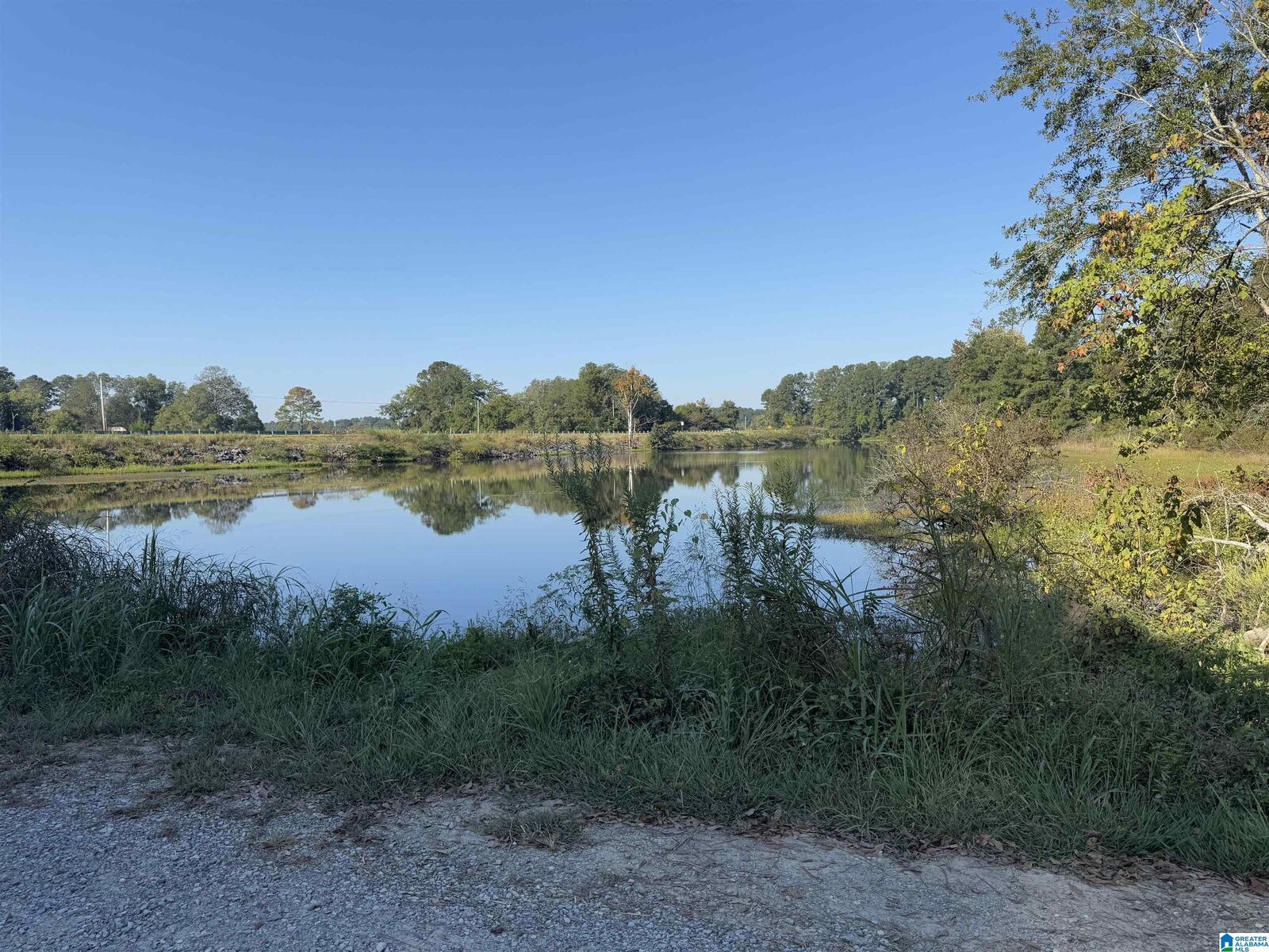 Property Photo:  0 Highway 78 1  AL 35096 