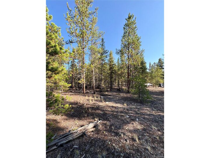 Property Photo:  776 Birch Dr  CO 80461 