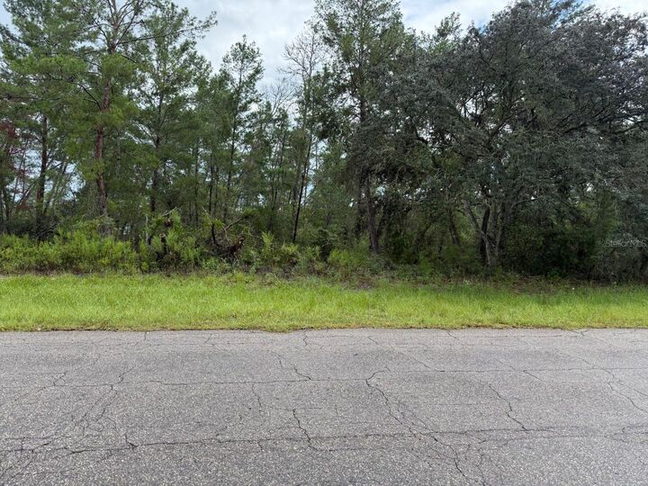Property Photo:  Marion Oaks Lane  FL 34473 