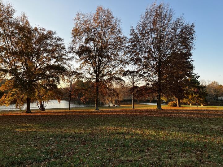 Property Photo: 107 Haynes Ln TN 37148