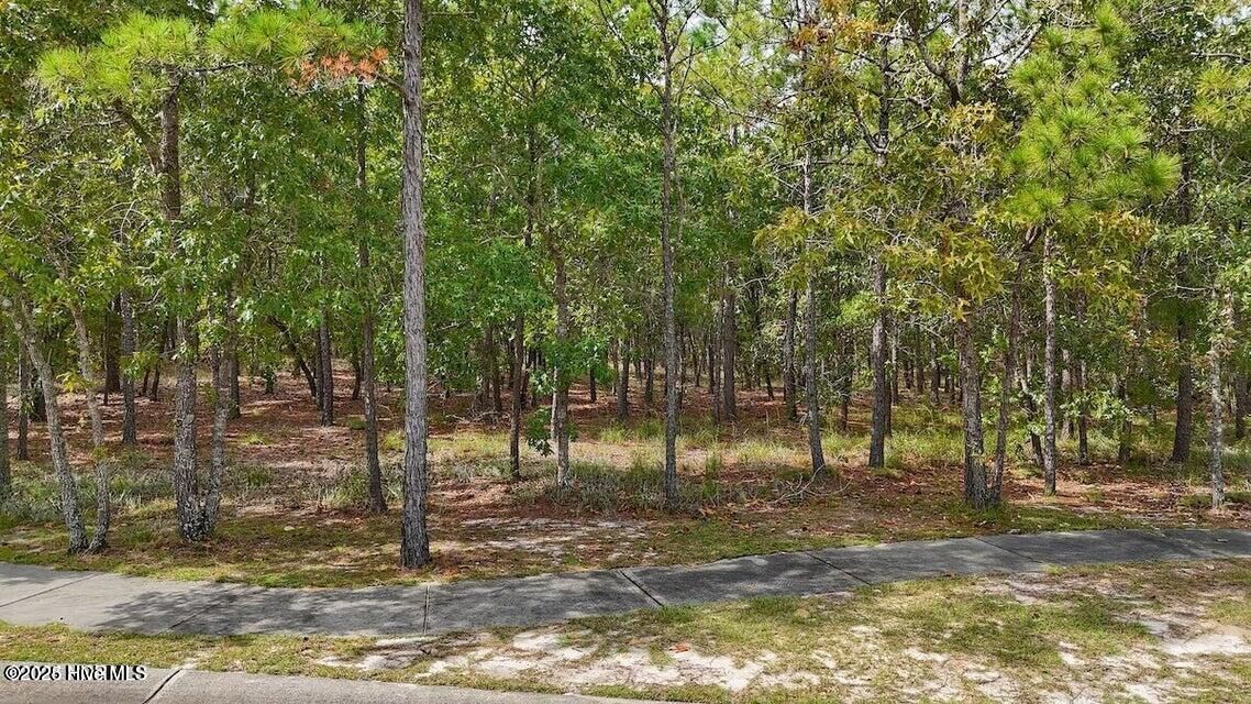 Property Photo: 2929 Serrano Trail SE NC 28422