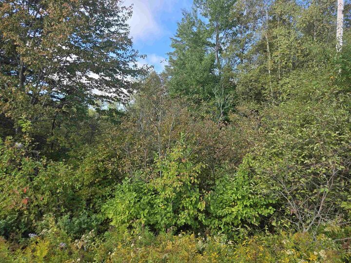 Property Photo:  Lot 7 Highway 368  NS B0K 1Y0 