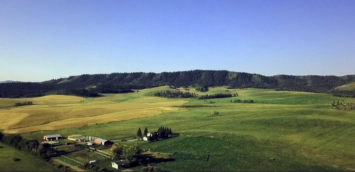 12-20-4W5  Rural Foothills County AB T0L 1K0 photo