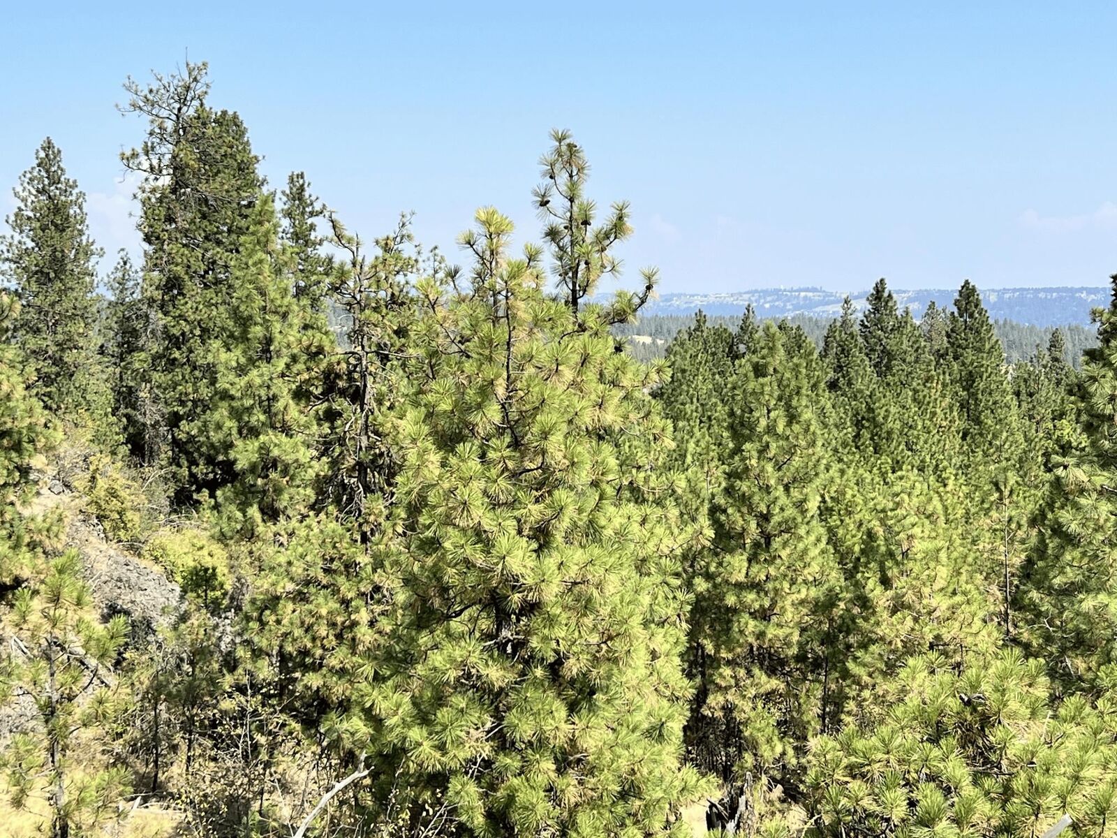 Property Photo:  8200 W Mission Rd  WA 99224 