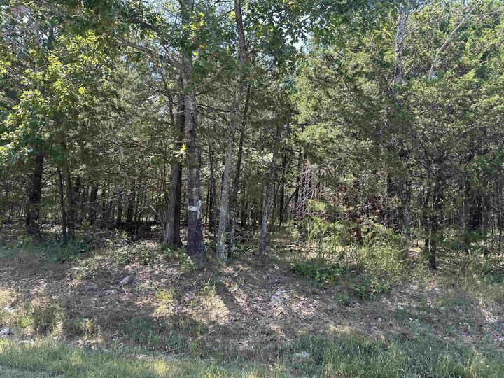 Property Photo:  11360 Hwy 125  AR 72668 