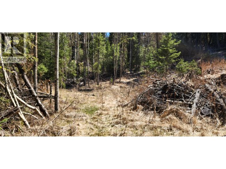 Property Photo:  Lot 21 Kallum Drive  BC V0K 2Z0 