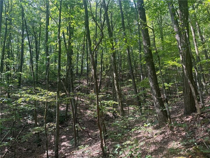 Property Photo: 101 Deer Trail GA 30143
