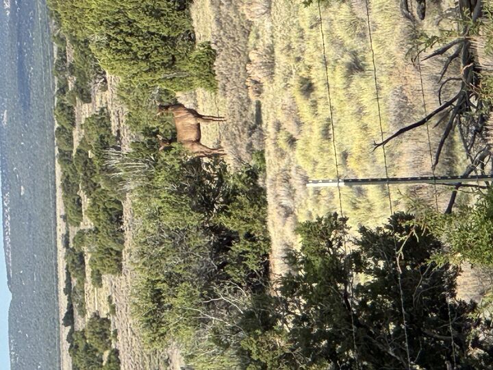 Property Photo:  Lot 130 Jolly Time Lane  NM 87315 