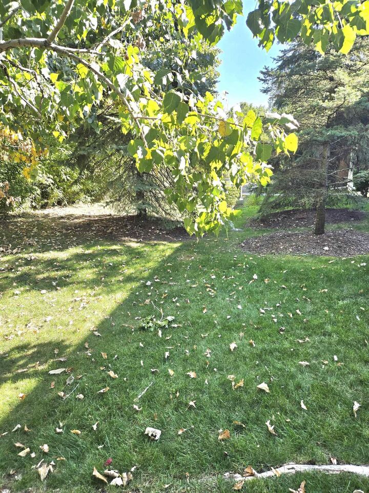 Property Photo:  44272 Princeton Drive  MI 48038 
