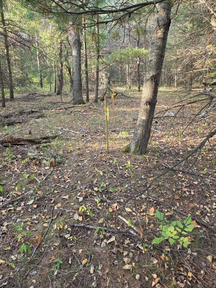 Property Photo: 523 Twentieth Street MI 48624