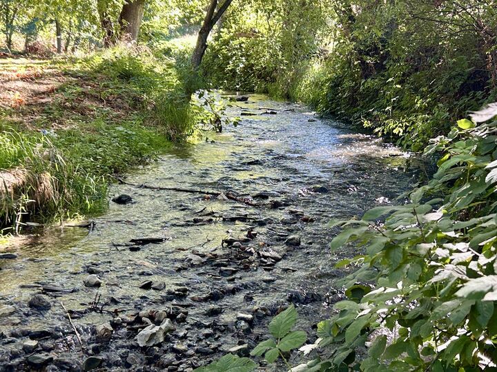 Property Photo:  2864 Griffin Creek Road  OR 97501 