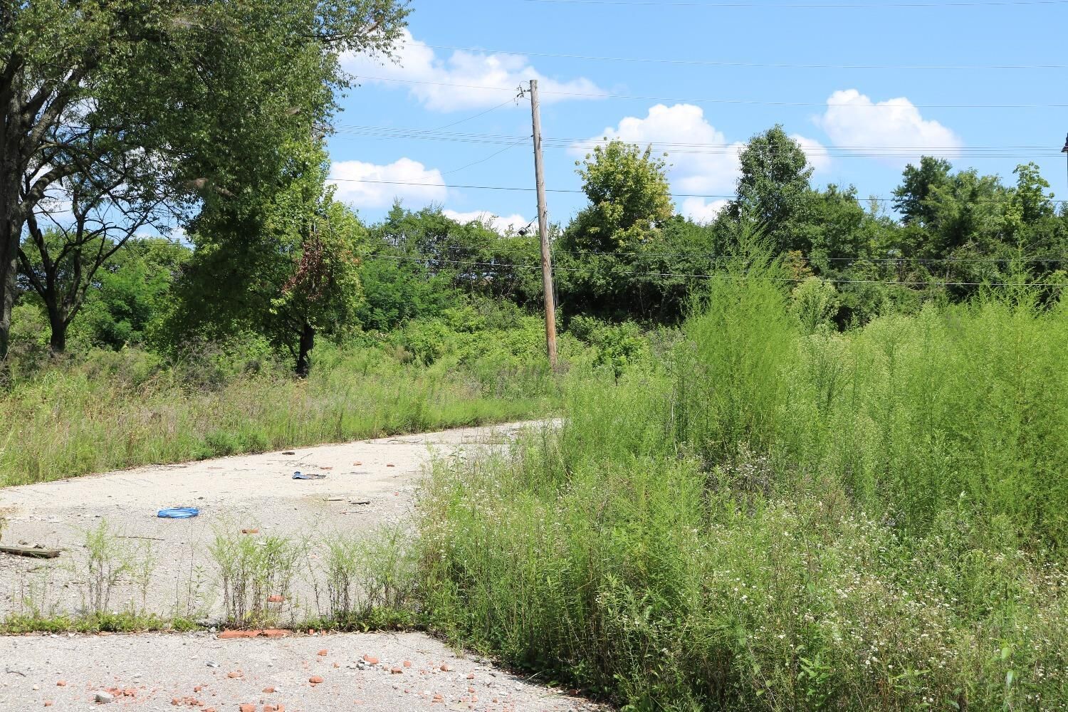 Property Photo:  0 Scudder Drive  IN 47025 