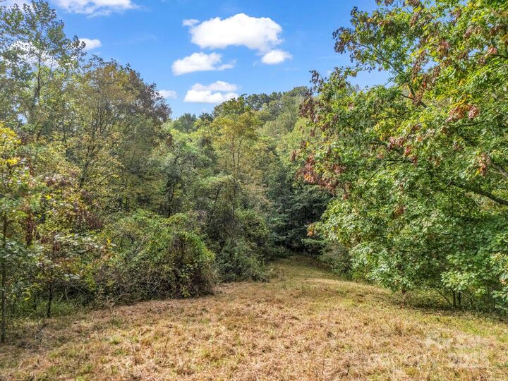 Property Photo:  19 Woodchuck Cove Way  NC 28701 