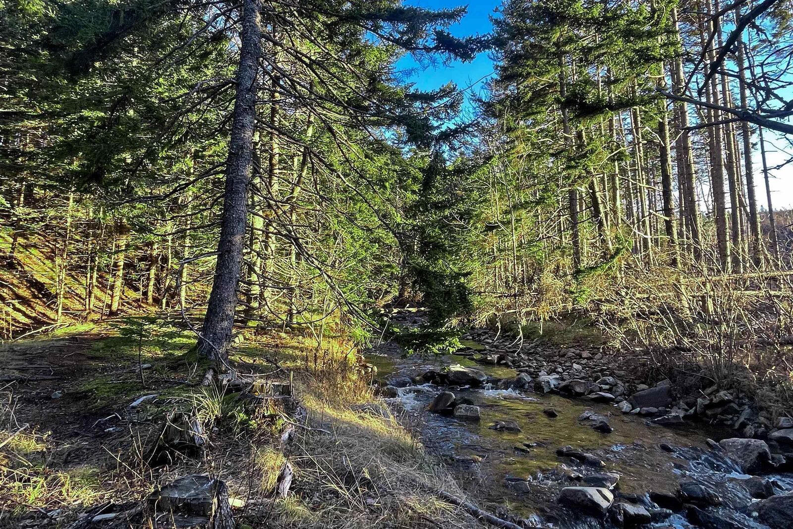 Property Photo:  Lot Shore Road E  NS B0S 1P0 