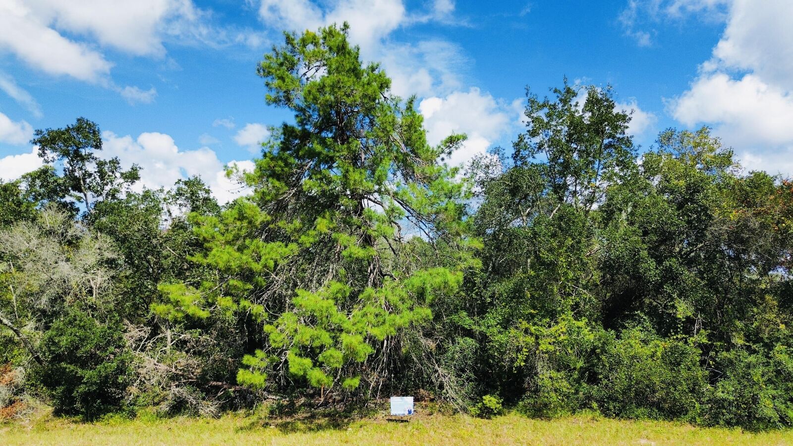 Property Photo: Tbd SW 37th Circle FL 34473
