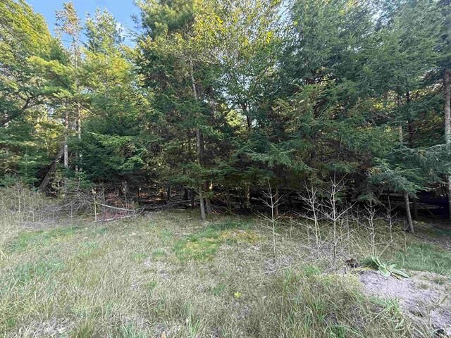 Property Photo:  Lot 58 W Harbor Highway  MI 49636 