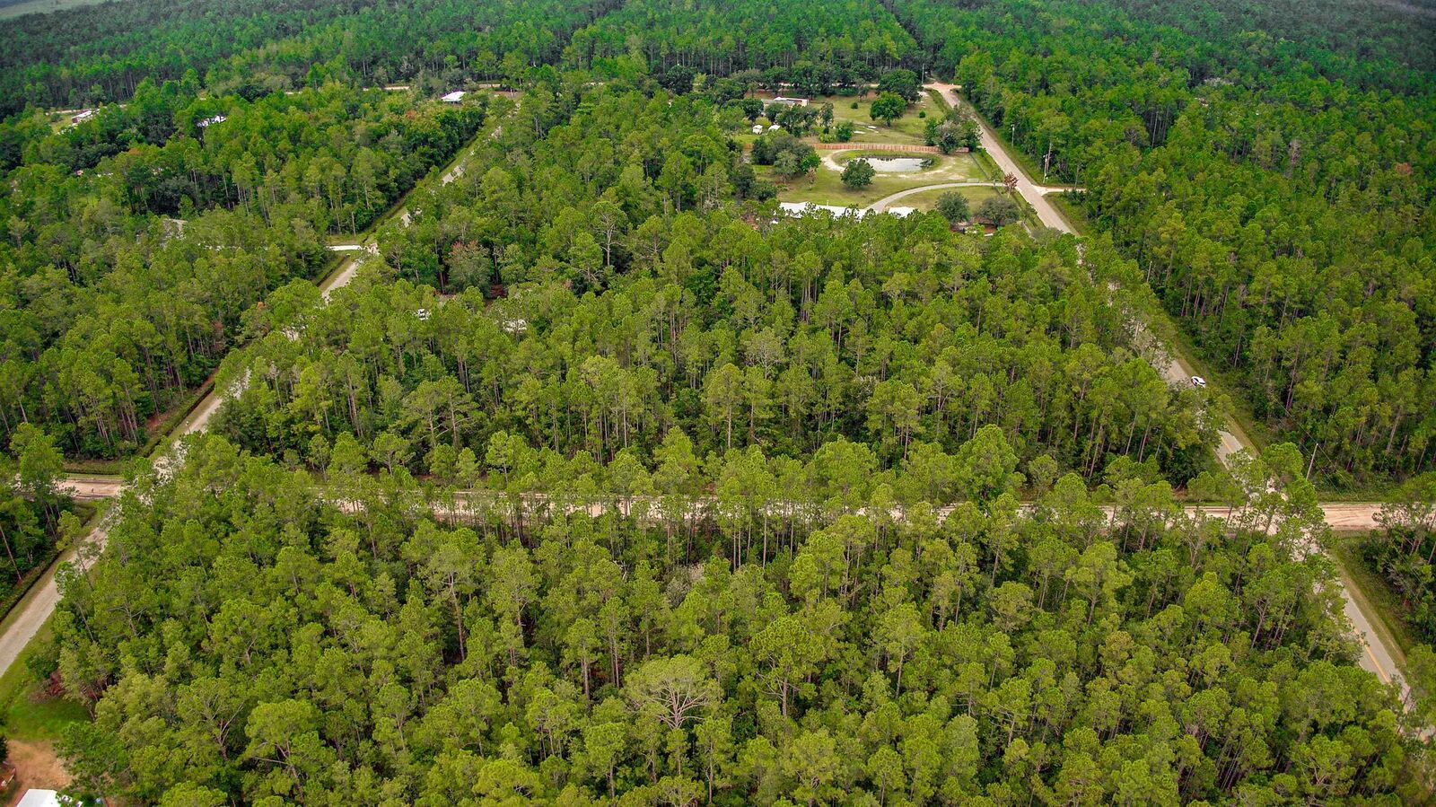 Property Photo:  10705 Dillon Ave  FL 32145 