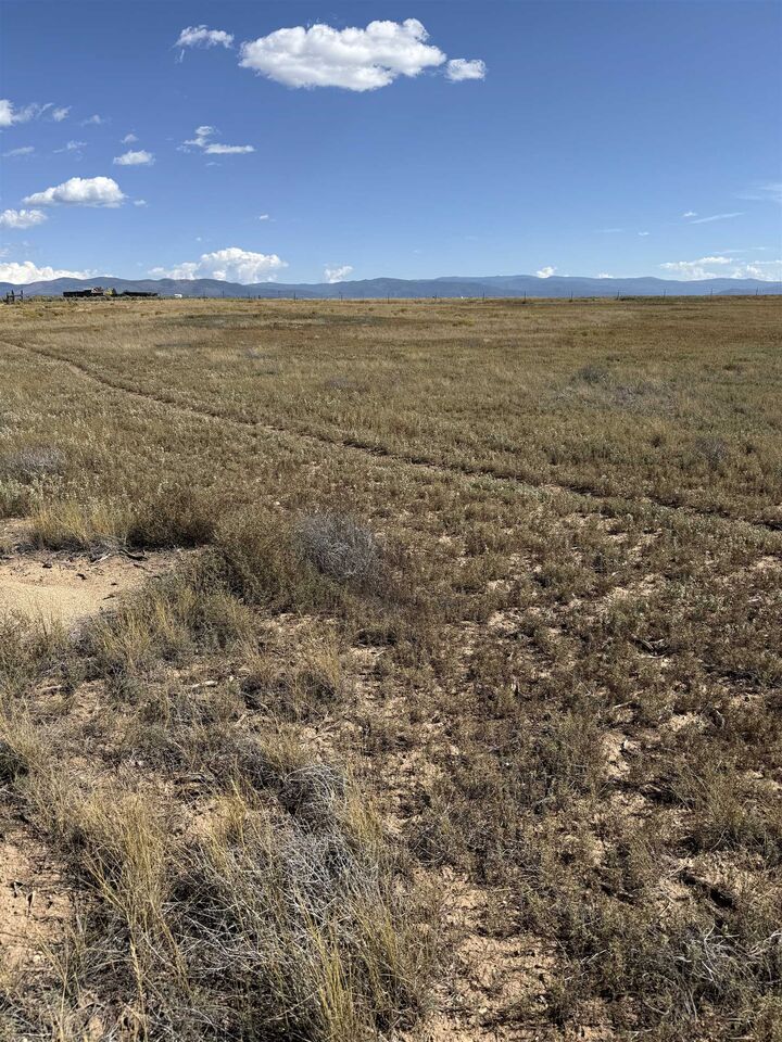 Property Photo: 25 Acres On Gravel Pit Road NM 87529