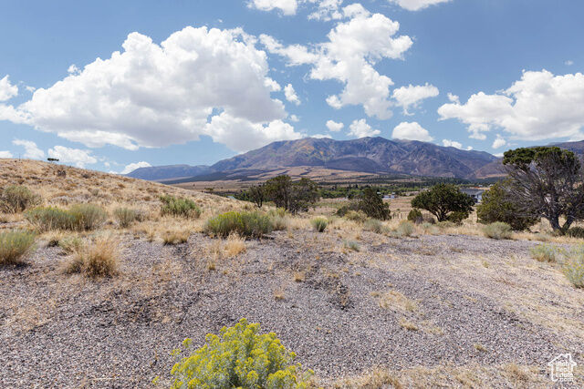Property Photo:  1350 S Timberline Dr  UT 84750 